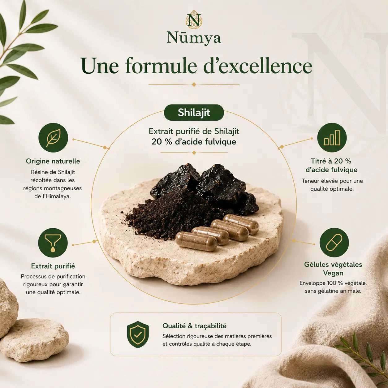 Shilajit (20% Acide Fulvique) - 90 Gélules Véganes Nūmya