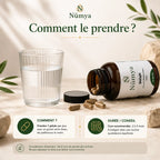 Shilajit (20% Acide Fulvique) - 90 Gélules Véganes Nūmya