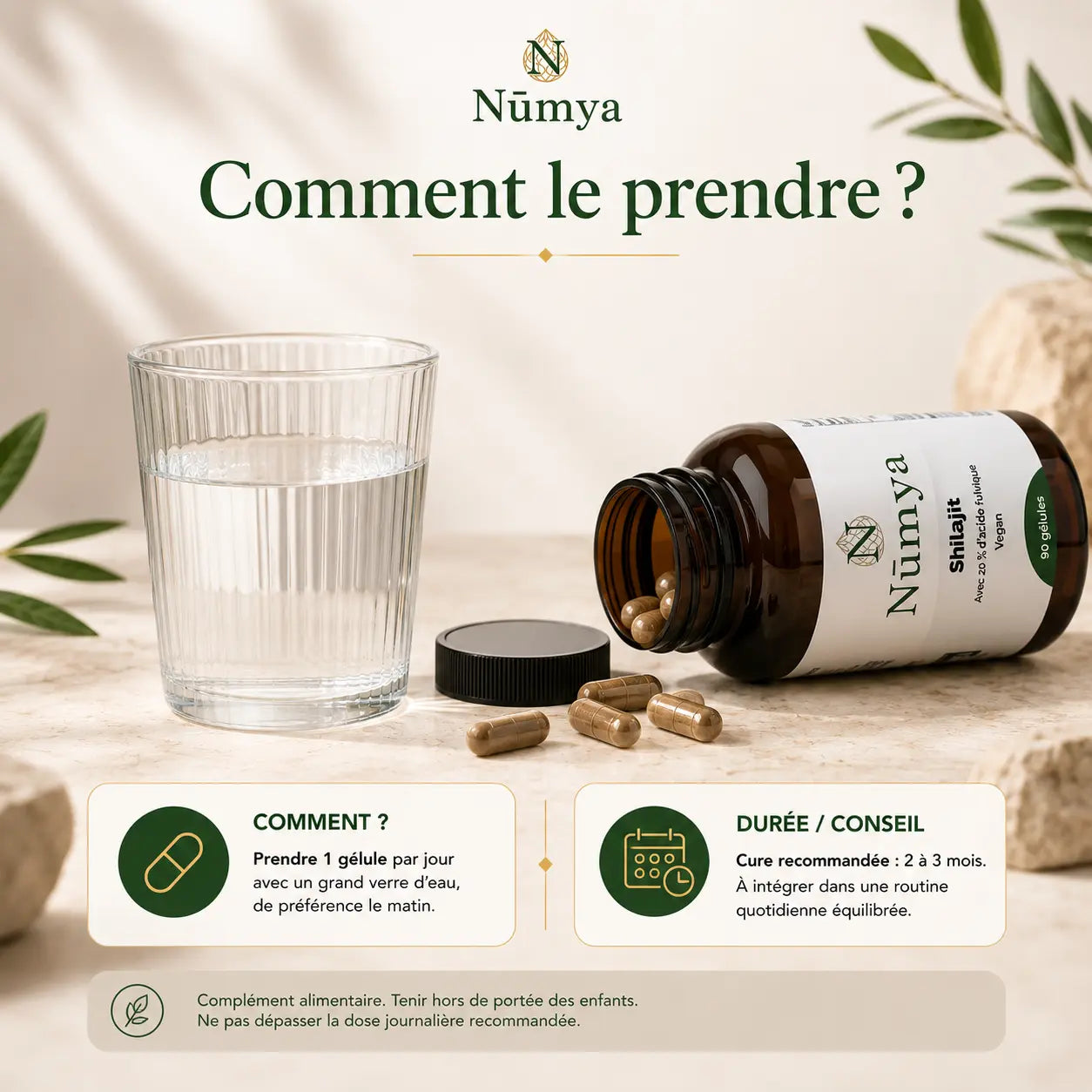 Shilajit (20% Acide Fulvique) - 90 Gélules Véganes Nūmya