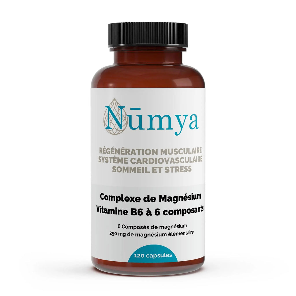 Magnésium Complexe 6x + B6 - 120 gélules vegan ChanceToBrand