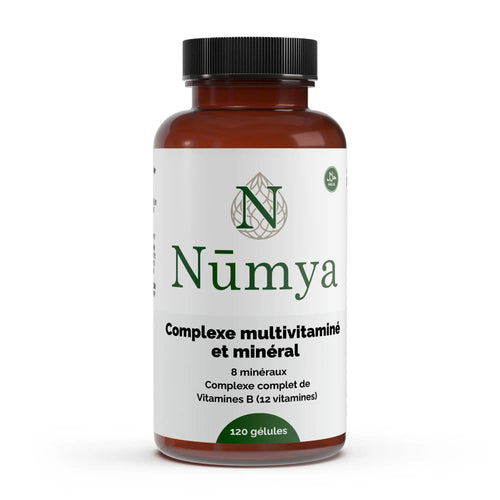 Complexe Multivitamines et Minéraux - 120 Softgels Halal ChanceToBrand