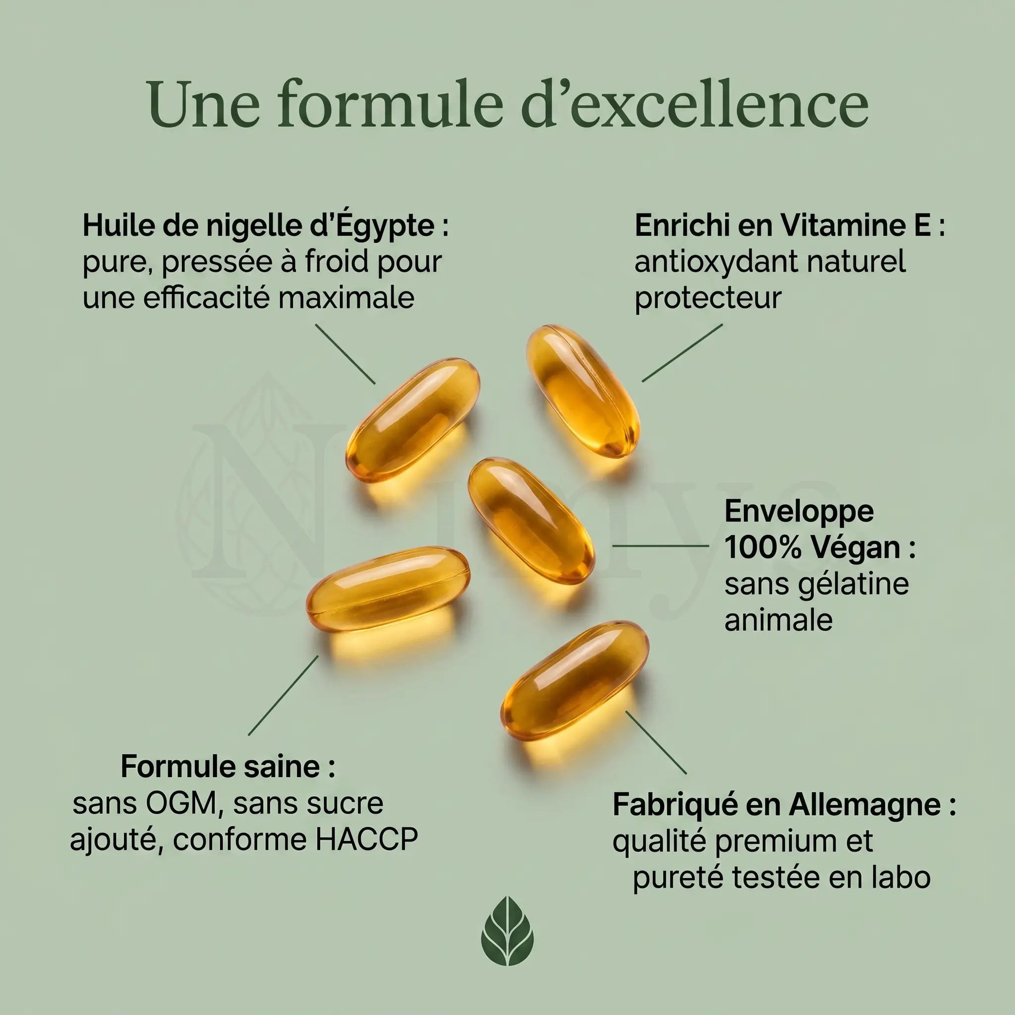 Huile de Nigelle Égyptienne - 240 Softgels vegan ChanceToBrand