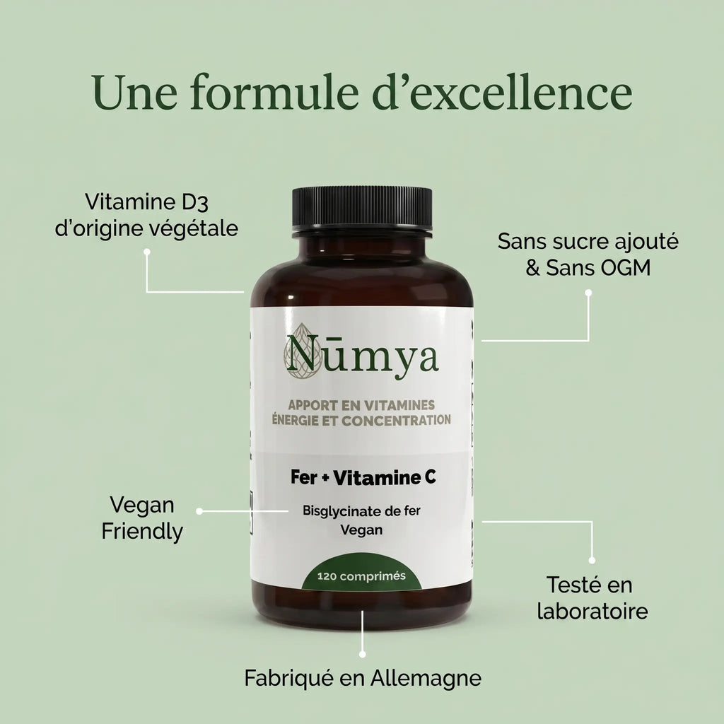 Fer + Vitamine C - 120 comprimés vegan ChanceToBrand