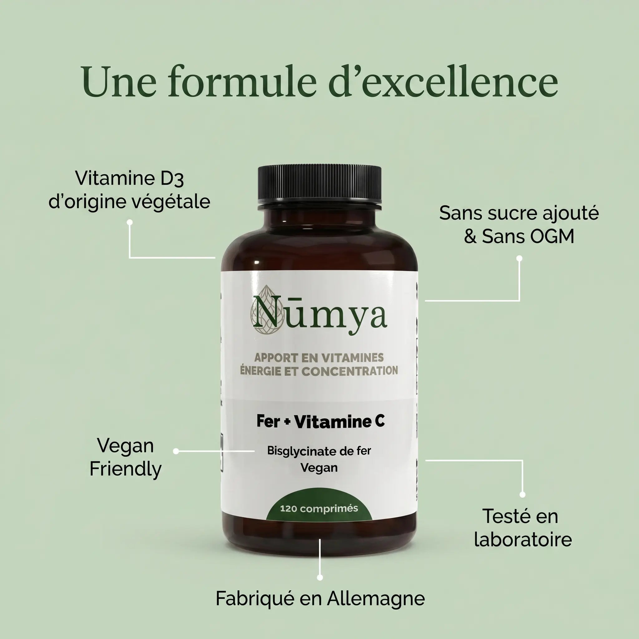 Fer + Vitamine C - 120 comprimés vegan ChanceToBrand