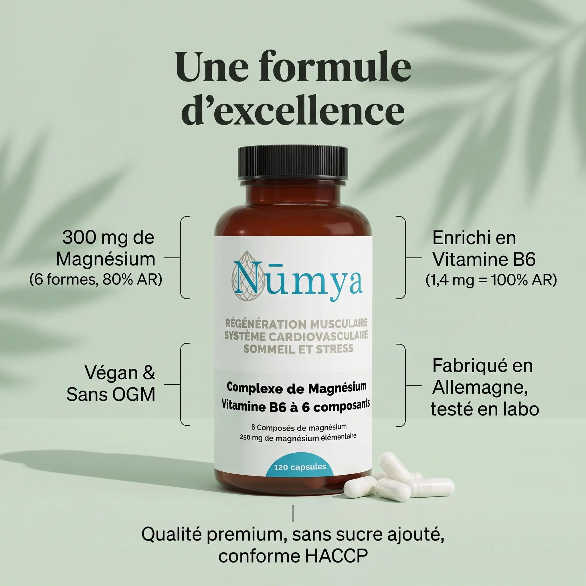 Magnésium Complexe 6x + B6 - 120 gélules vegan ChanceToBrand