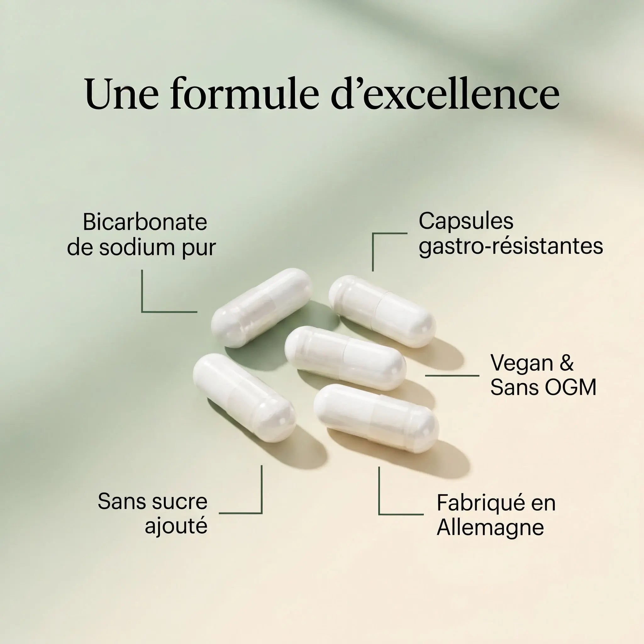 Bicarbonate de Soude Gastrorésistant - 120 gélules ChanceToBrand