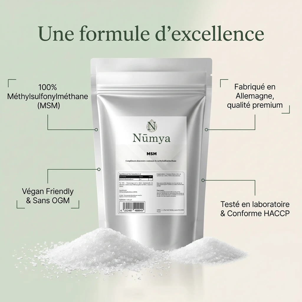 Poudre de MSM - 500 g ChanceToBrand