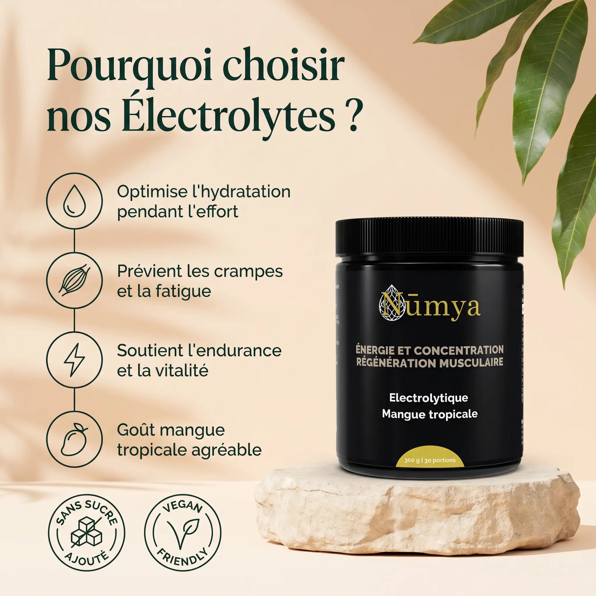 Électrolytes en Poudre Mangue Tropicale - 300 g ChanceToBrand