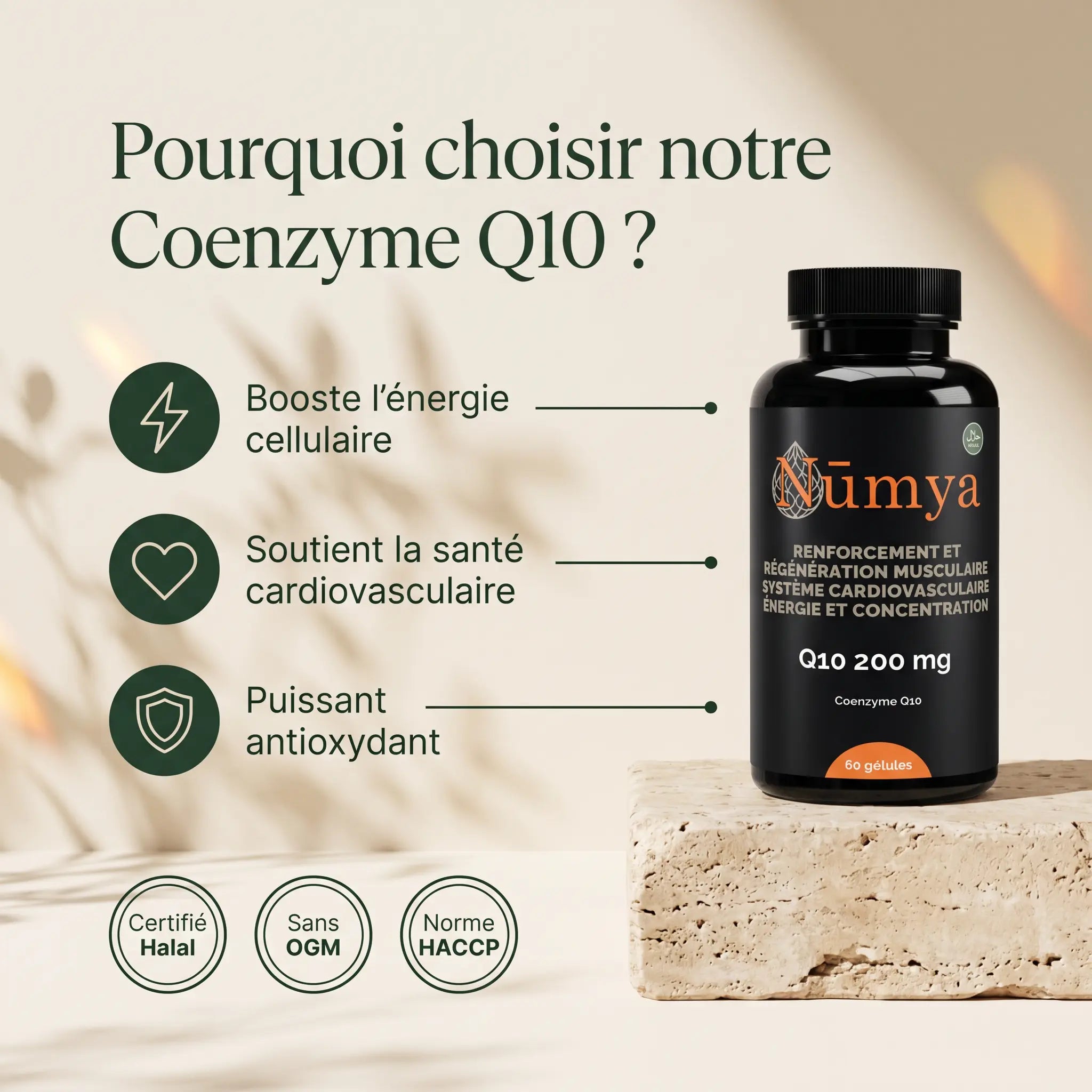 Coenzyme Q10 200 mg - 60 Softgels Certifié Halal ChanceToBrand