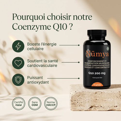 Coenzyme Q10 200 mg - 60 Softgels Certifié Halal ChanceToBrand