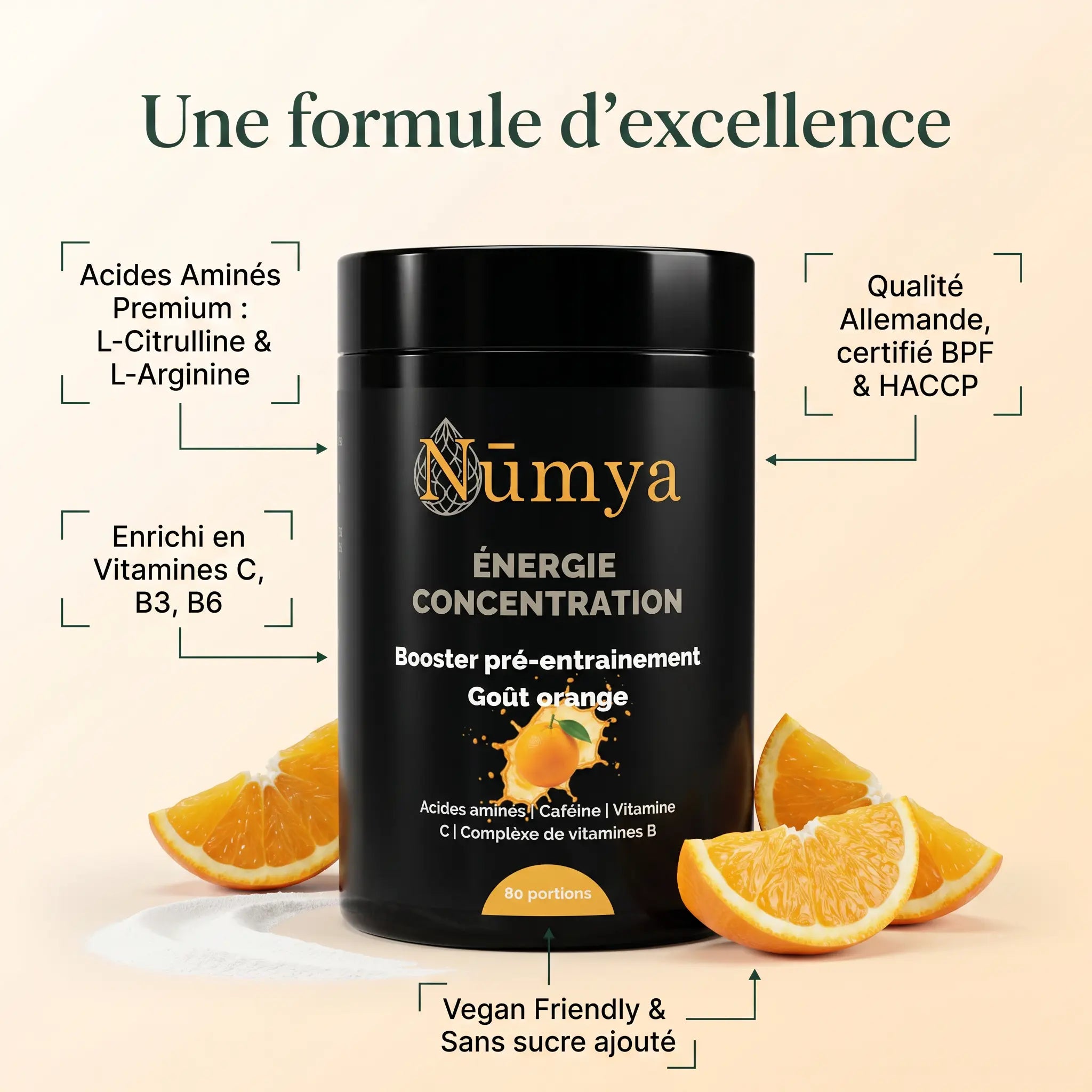 Booster Pré-Entraînement Orange - 520 g ChanceToBrand