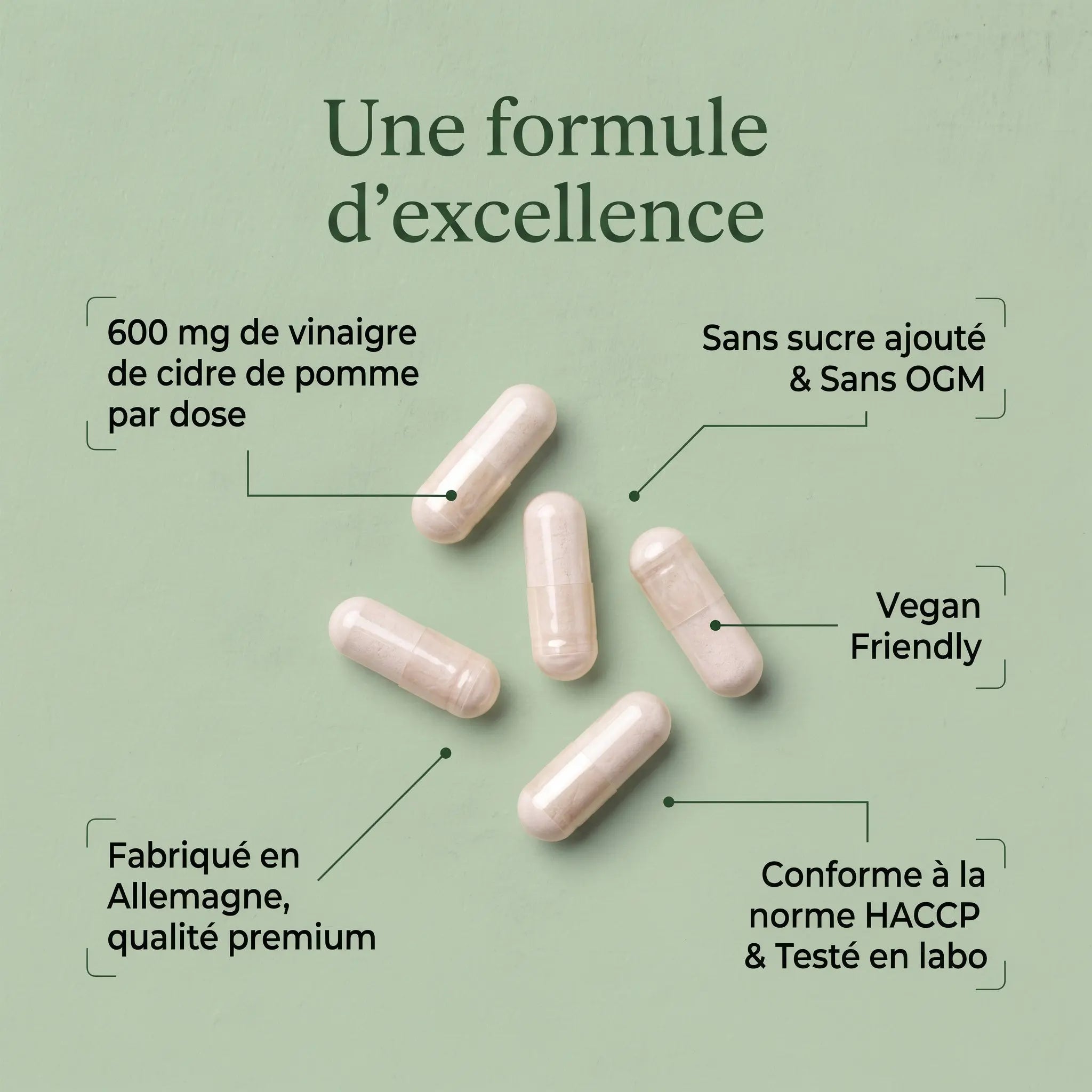 Extrait de Vinaigre de Cidre (600 mg/gélule) - 120 gélules vegan ChanceToBrand