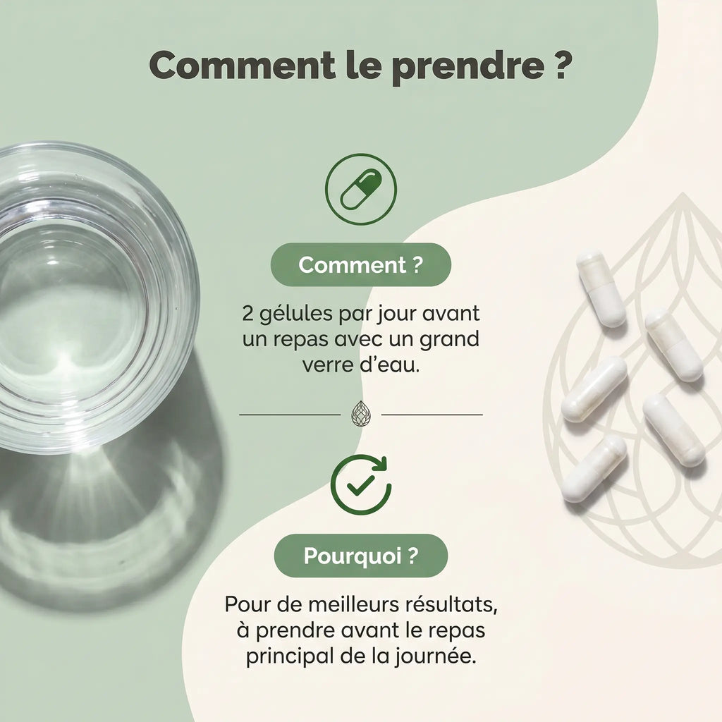Extrait de Vinaigre de Cidre (600 mg/gélule) - 120 gélules vegan ChanceToBrand