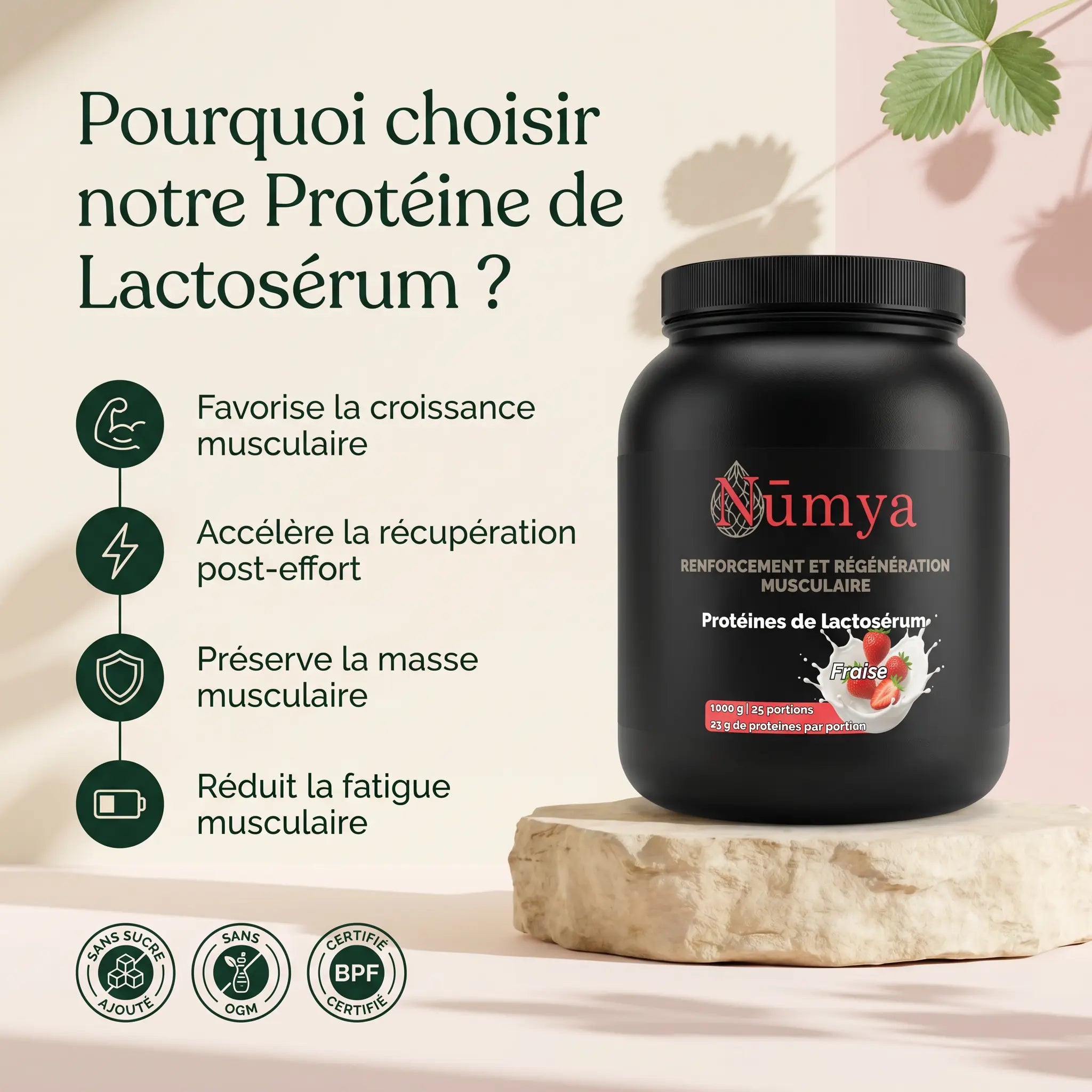 Protéines de lactosérum premium à la Fraise - 1 000g