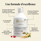 Ginseng Power Plus+ - 33 Shots - 500 ml ChanceToBrand