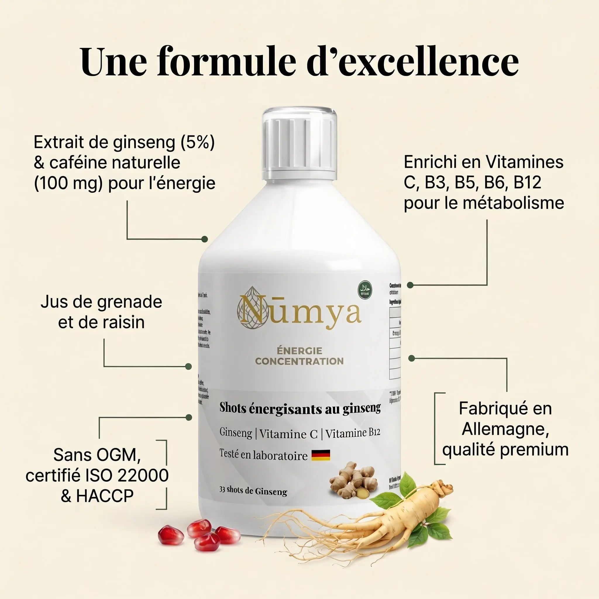 Ginseng Power Plus+ - 33 Shots - 500 ml ChanceToBrand