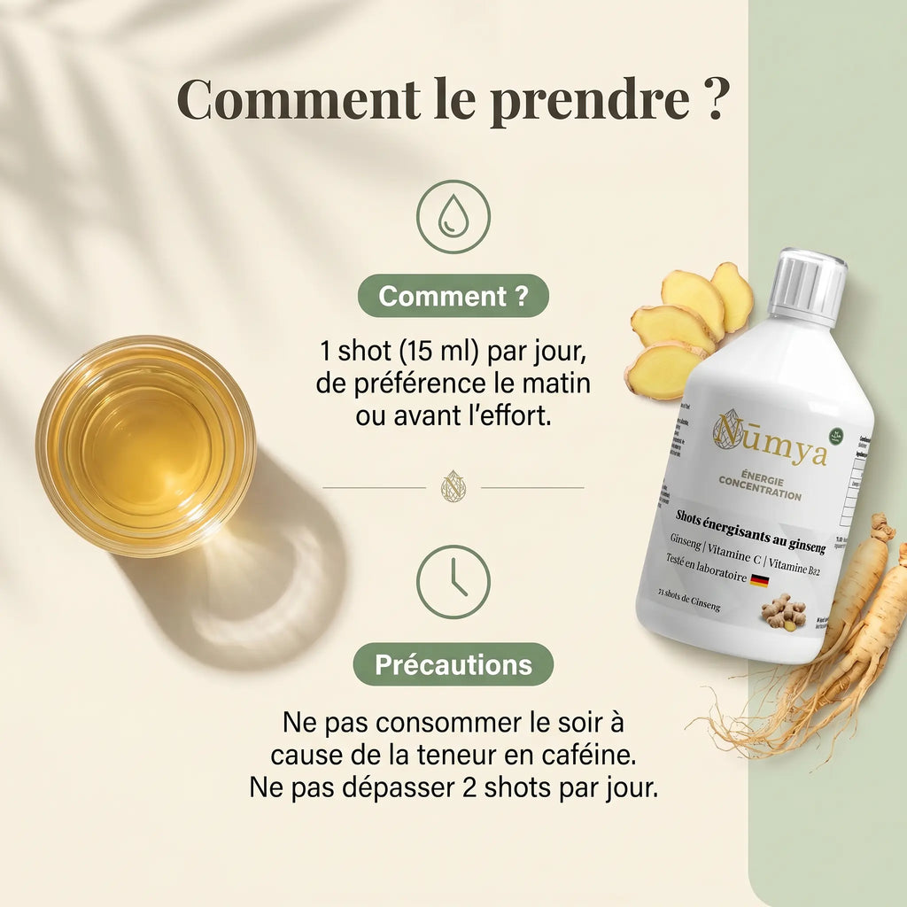 Ginseng Power Plus+ - 33 Shots - 500 ml ChanceToBrand