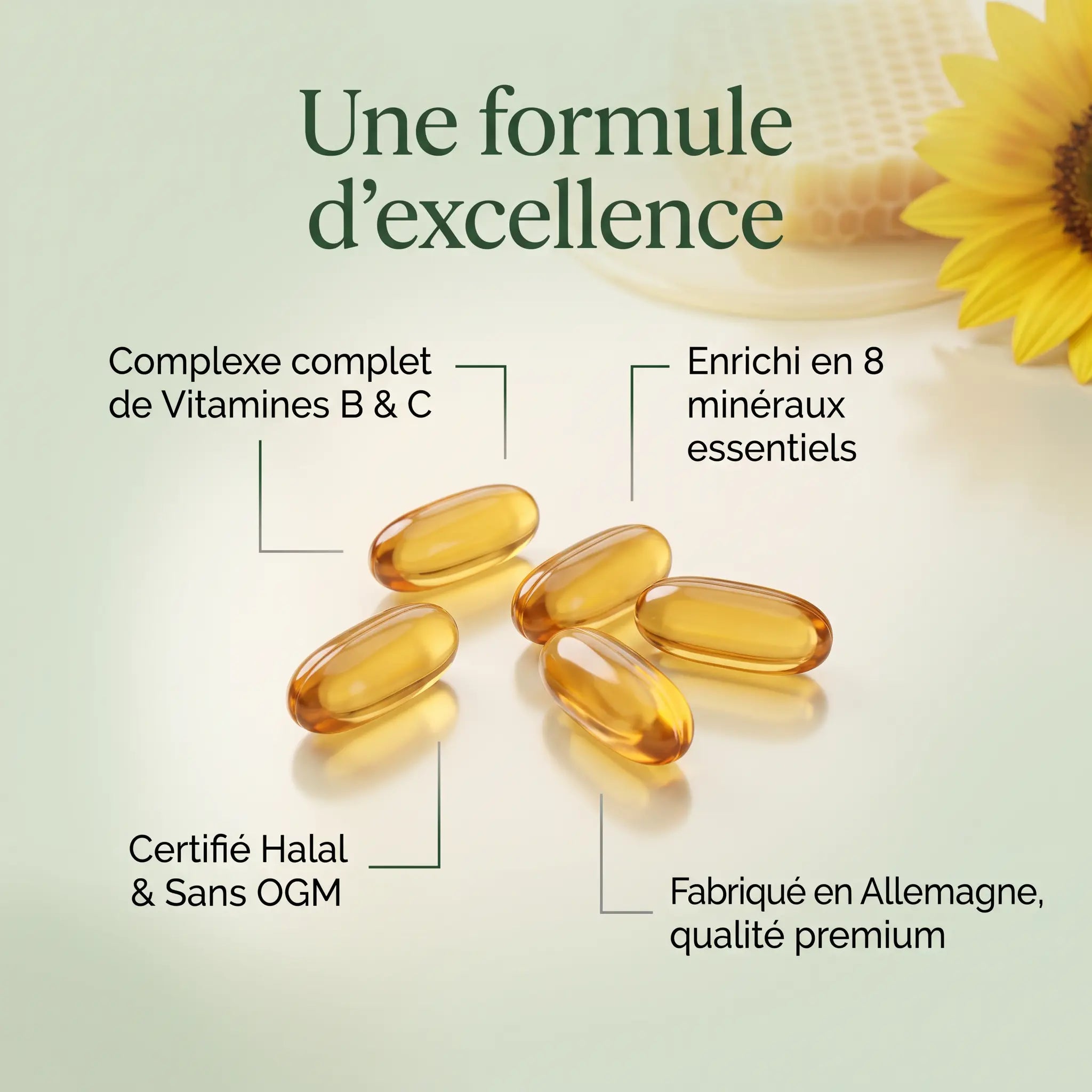 Complexe Multivitamines et Minéraux - 120 Softgels Halal ChanceToBrand