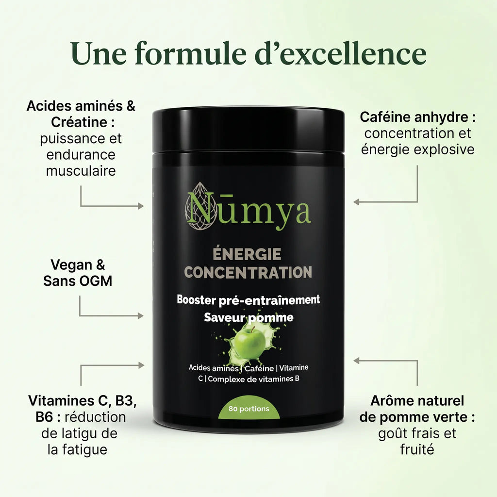 Booster Pré-Entraînement Pomme - 520 g ChanceToBrand