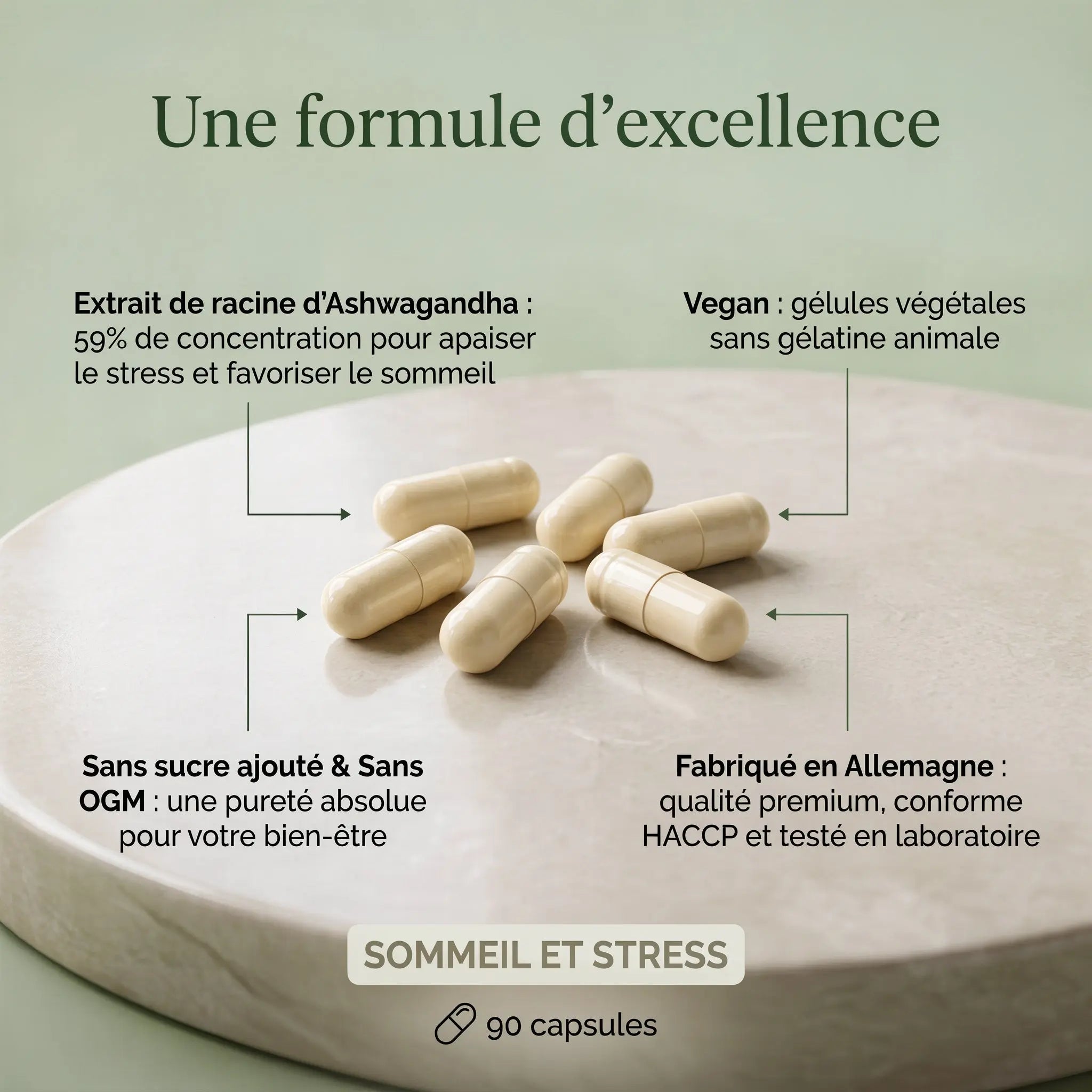 Ashwagandha (10% Withanolides) - 90 gélules vegan ChanceToBrand