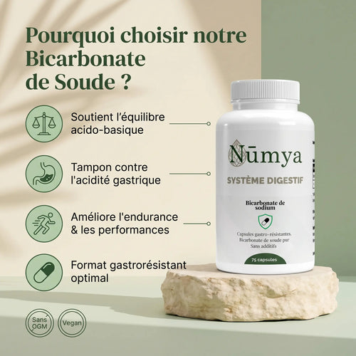 Bicarbonate de Soude Gastrorésistant - 120 gélules ChanceToBrand