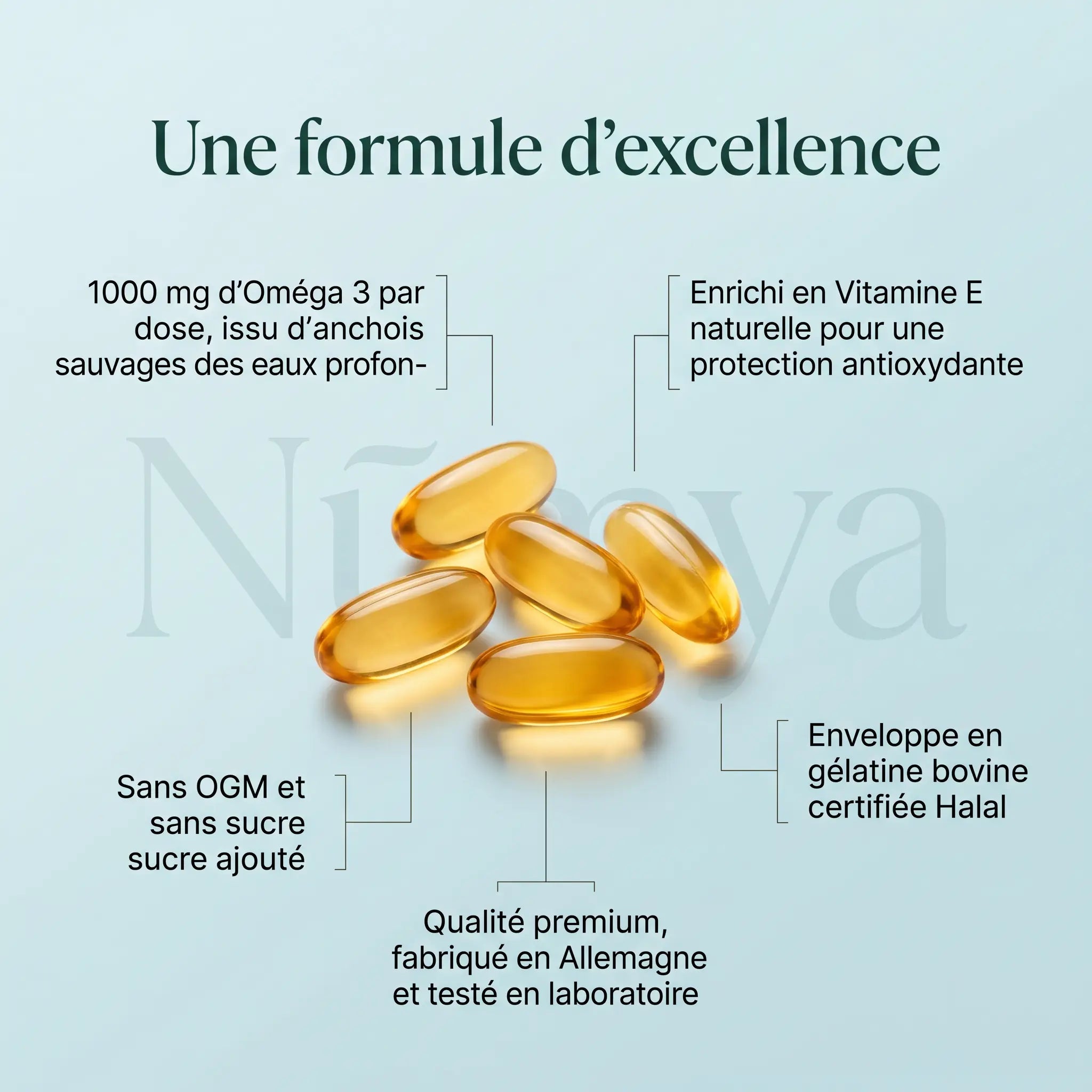 Oméga 3 Max 35/25 - 120 Softgels Certifié Halal ChanceToBrand