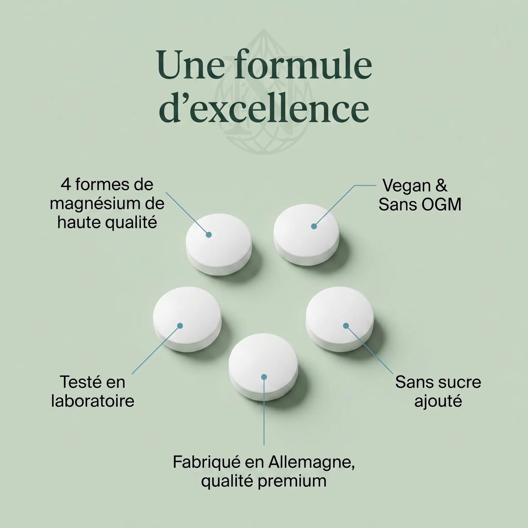 Magnésium Complexe 4x - 60 comprimés vegan ChanceToBrand
