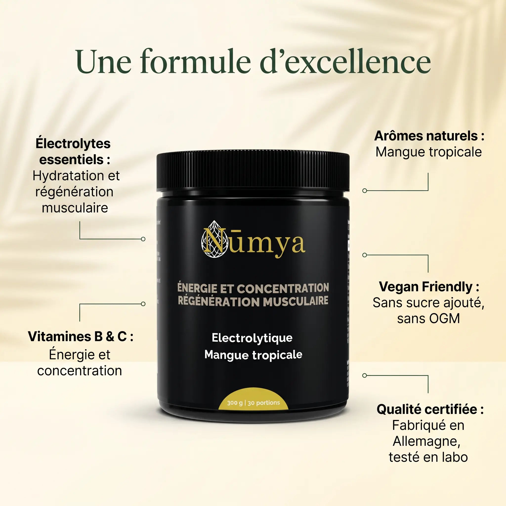 Électrolytes en Poudre Mangue Tropicale - 300 g ChanceToBrand