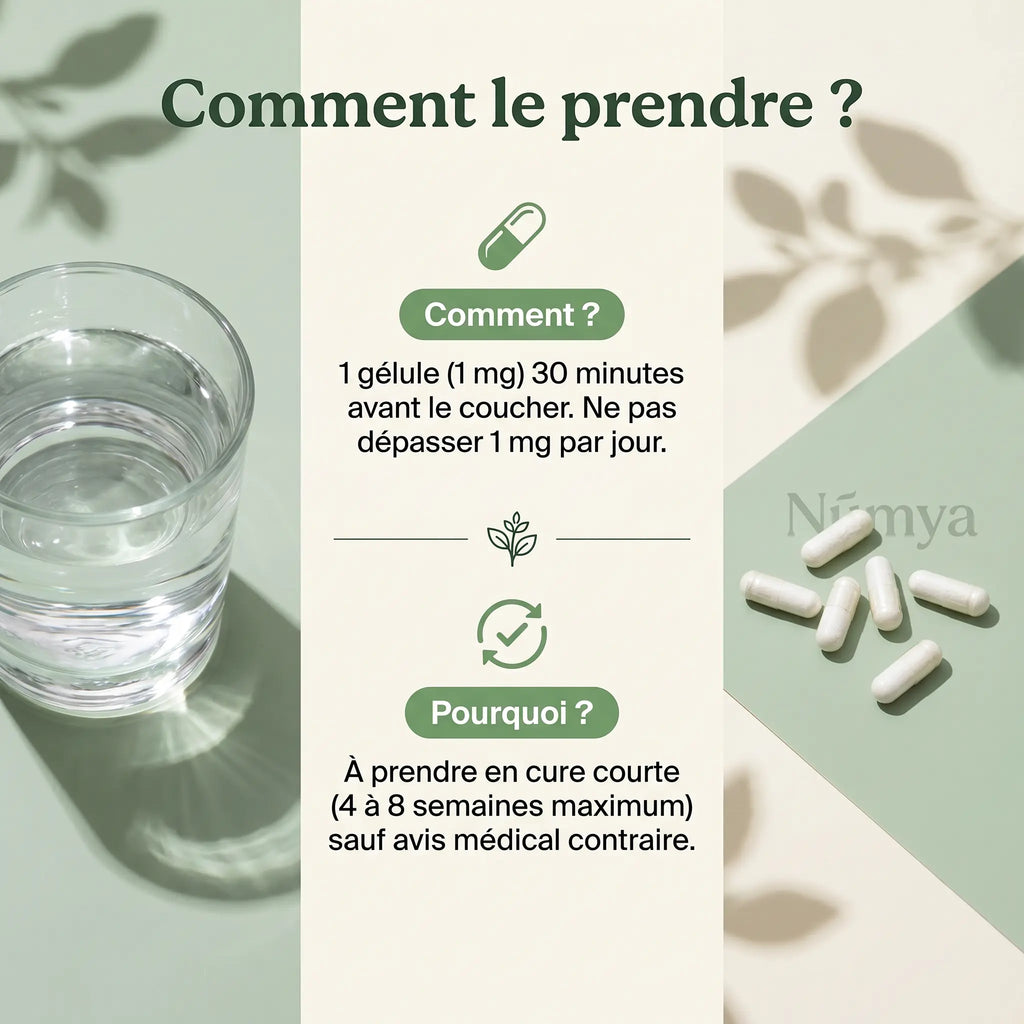 Ashwagandha (10% Withanolides) - 90 gélules vegan ChanceToBrand