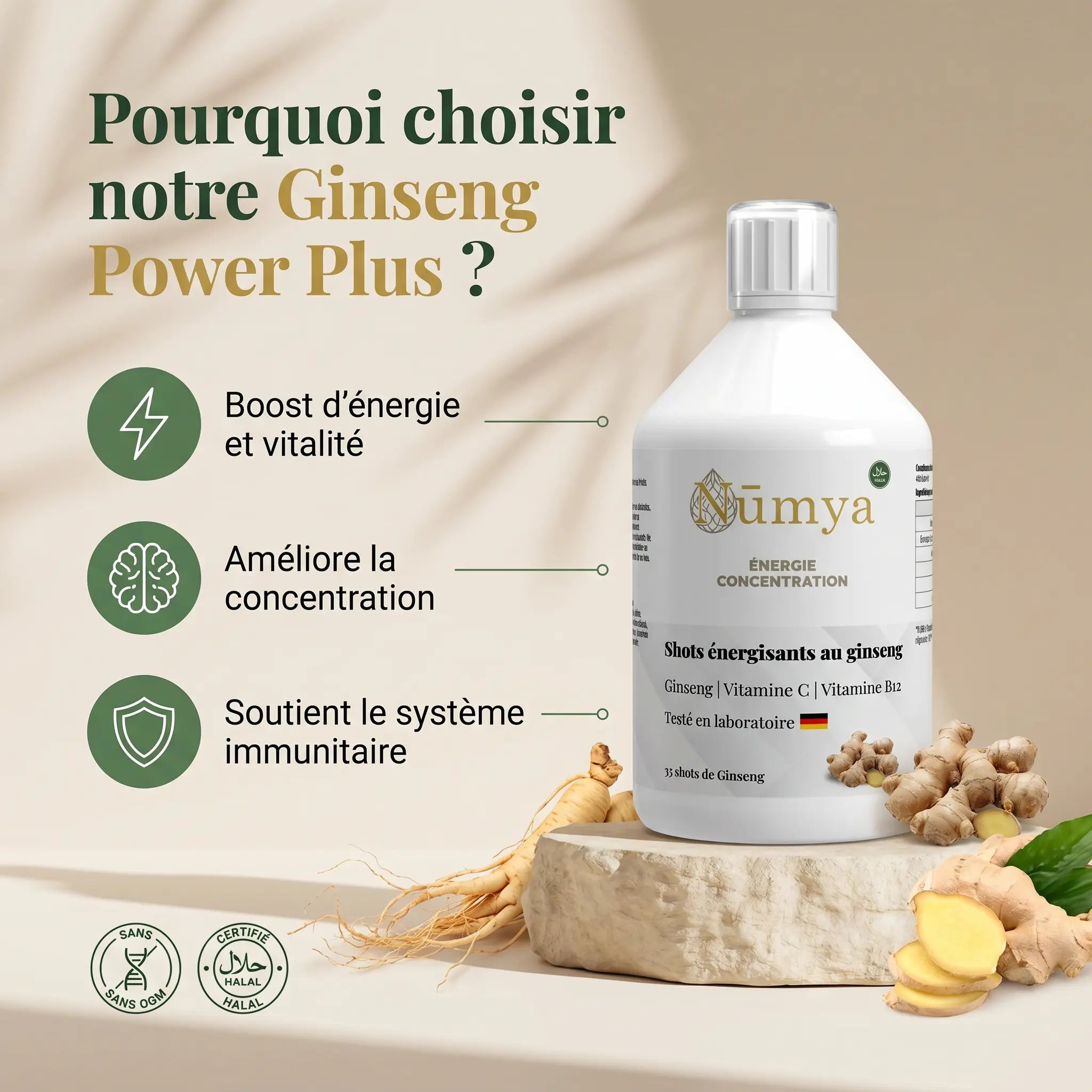 Ginseng Power Plus+ - 33 Shots - 500 ml ChanceToBrand
