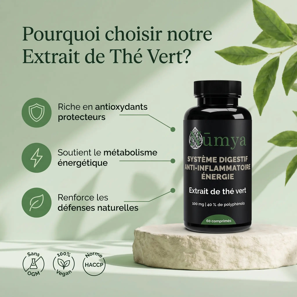 Extrait de Thé Vert 40% Polyphenôles - 60 gélules ChanceToBrand