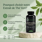 Extrait de Thé Vert 40% Polyphenôles - 60 gélules ChanceToBrand