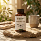 Ashwagandha (10% Withanolides) - 90 gélules vegan ChanceToBrand