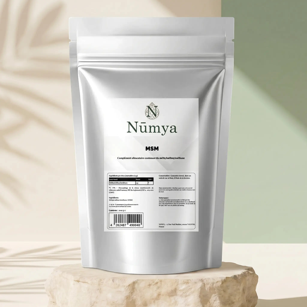 Poudre de MSM - 500 g ChanceToBrand